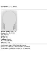 Cheryl Baldini Arrested/Booked 11/25/2020 - Arrest Files