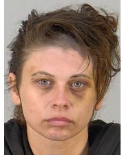 Alexis Michelle Johnston Arrested/Booked 10/14/2022 - Arrest Files